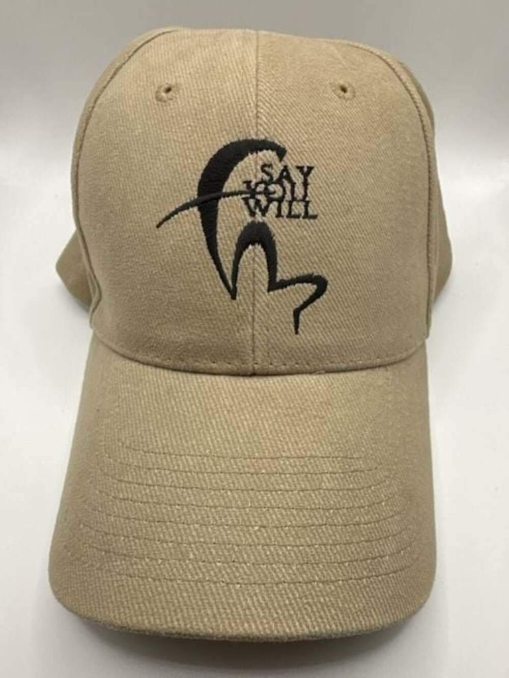 Vintage 2004 Fleetwood Mac Say You Will Tour Hat Cap